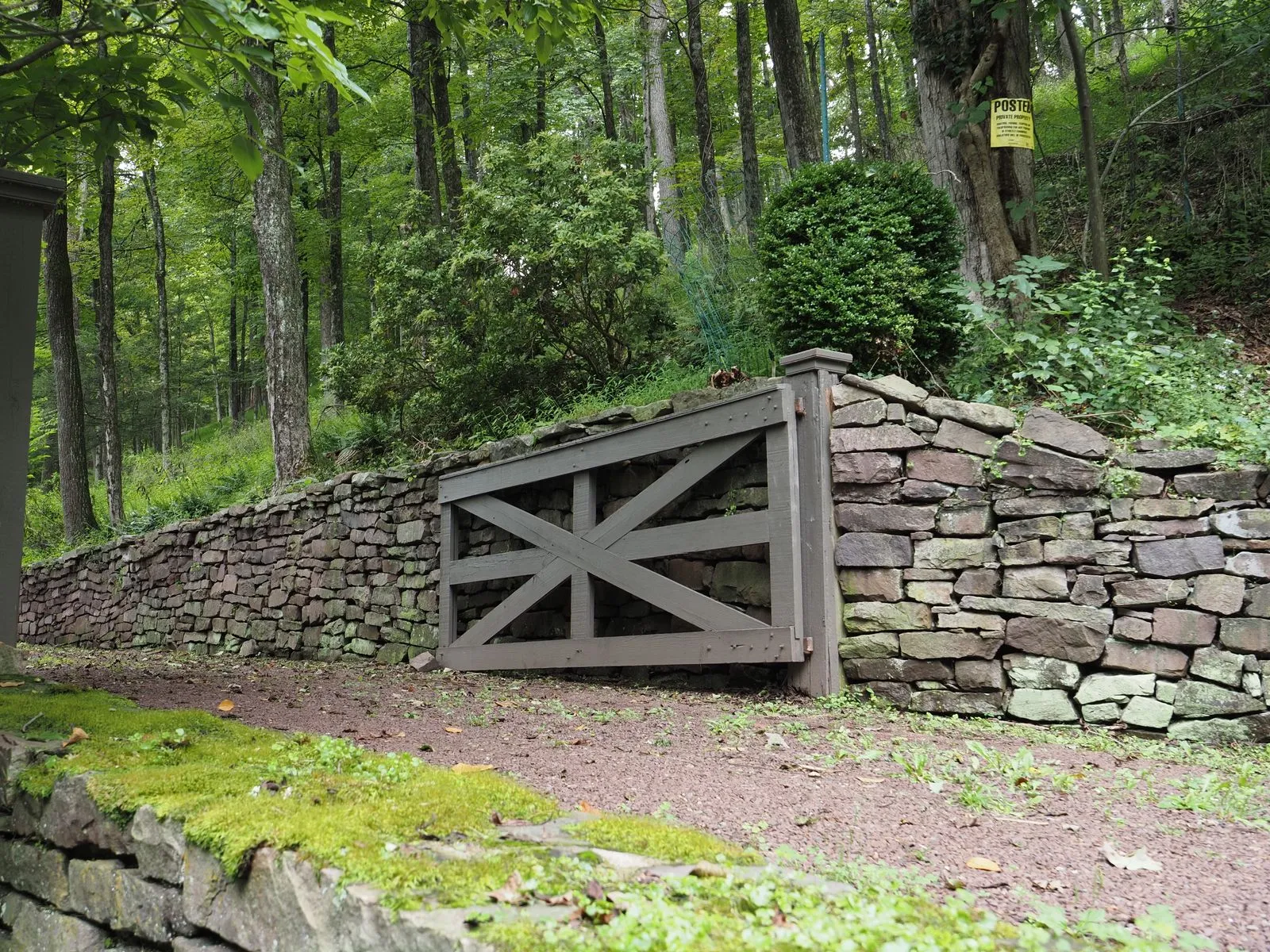 A rustic stone wall with a wooden gate in a lush Pennsylvania forest, showcasing vibrant greenery.